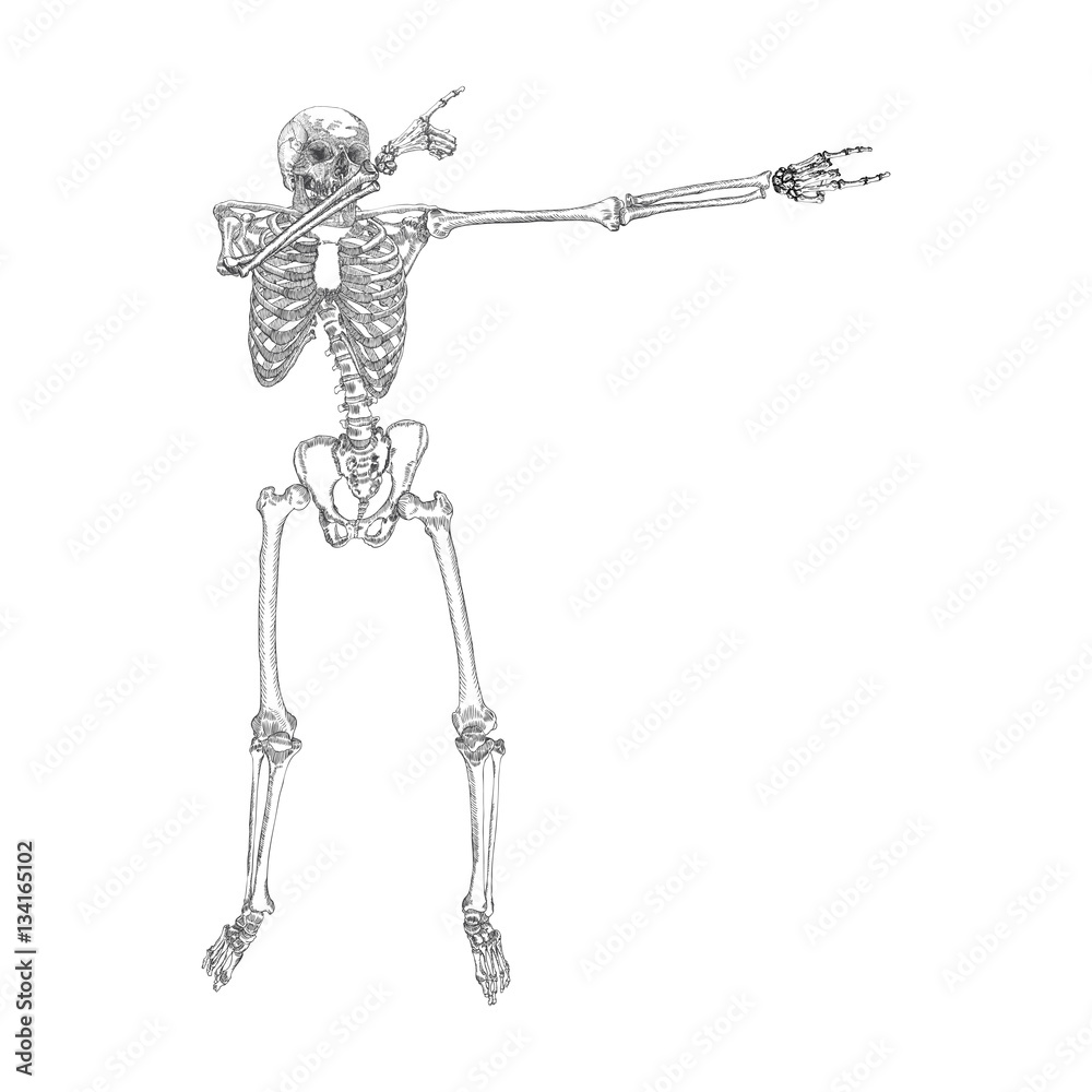 Human skeleton posing DAB, perform dabbing dance move gesture, posing on black background. Vector. Human skeleton posing DAB, perform dabbing dance move gesture, posing on black background. Vector.