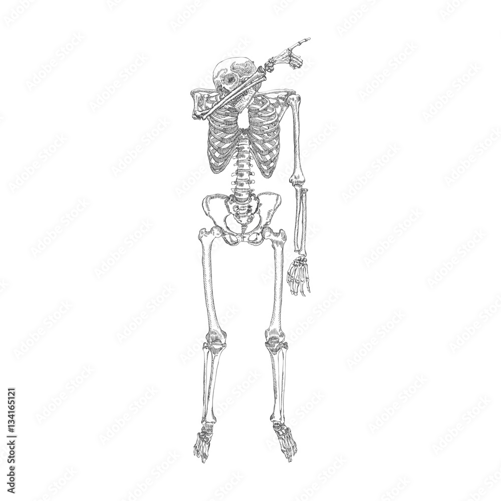 Human skeleton posing DAB, perform dabbing dance move gesture, posing on black background. Vector.
