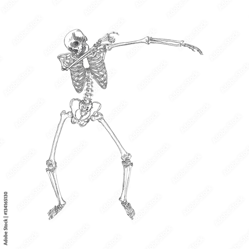 Human skeleton posing DAB, perform dabbing dance move gesture, posing on black background. Vector. Human skeleton posing DAB, perform dabbing dance move gesture, posing on black background. Vector.