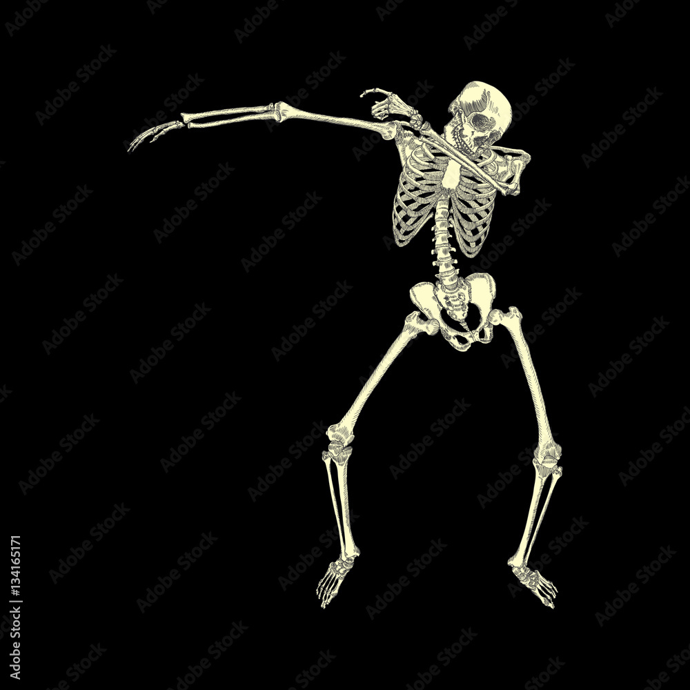 Human skeleton posing DAB, perform dabbing dance move gesture, posing on black background. Vector. Human skeleton posing DAB, perform dabbing dance move gesture, posing on black background. Vector.