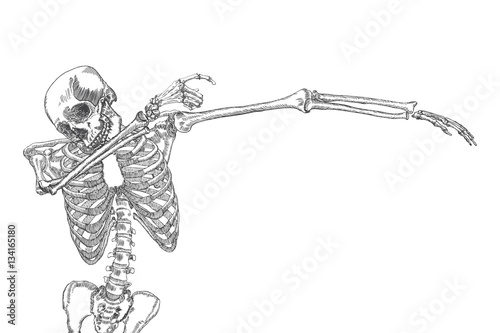 Human skeleton dancing DAB, perform dabbing move gesture, posing on white background. Vector.