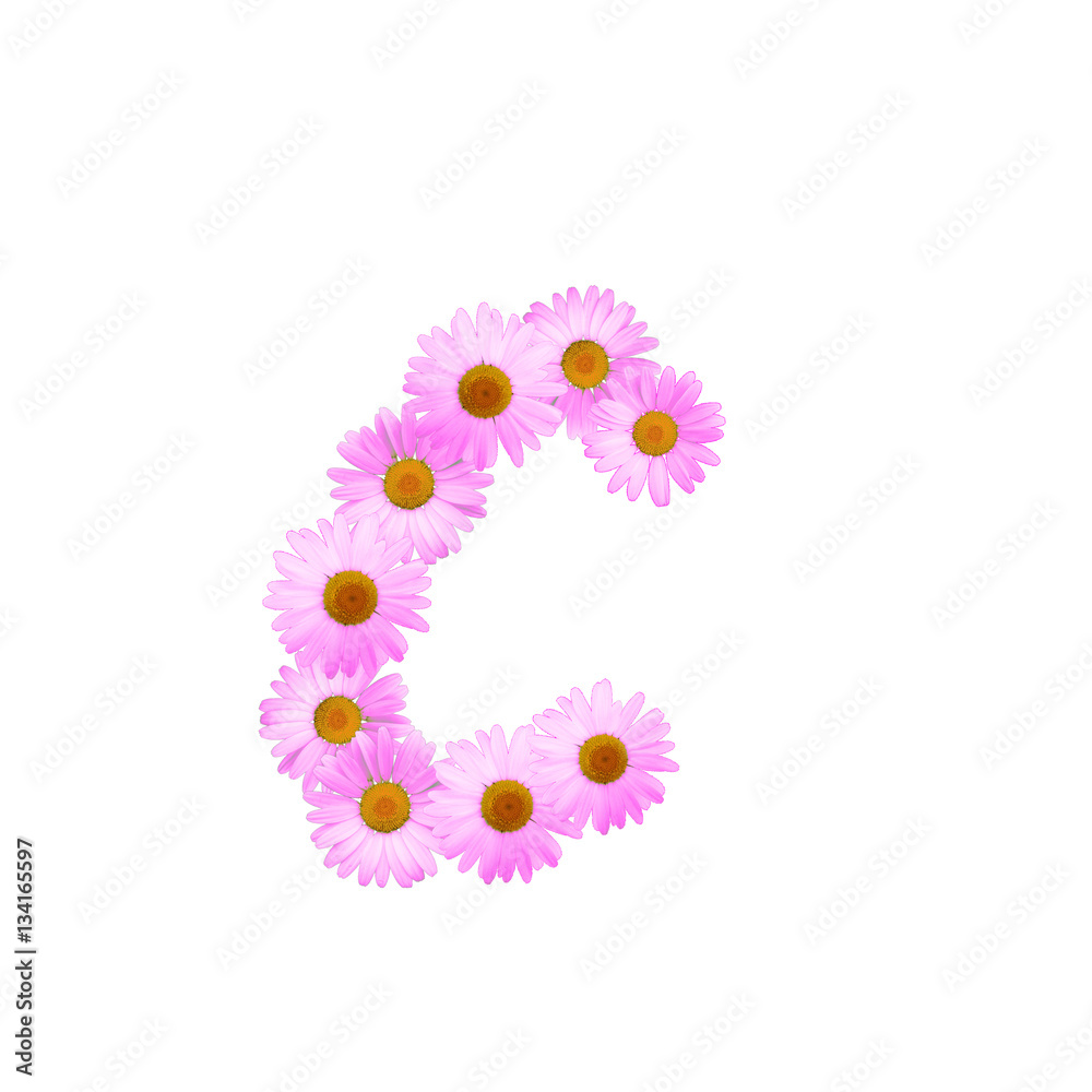 Pink Daisy Letter C