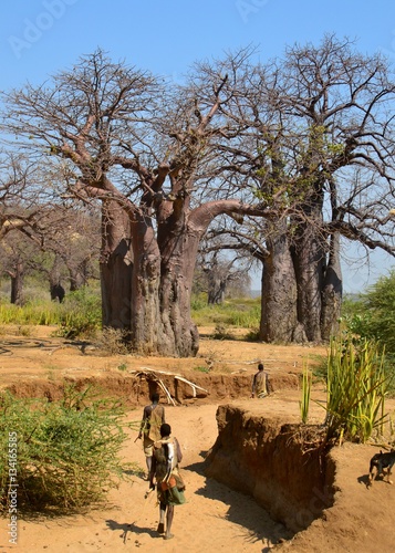 Hadzabe men tracking animals through the dry creek bed in Rural Tanzania photo