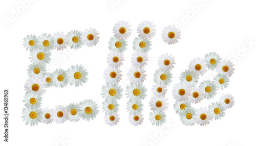 Φωτογραφία Daisy Name Ellie