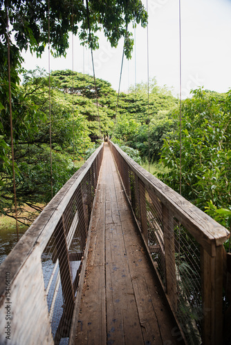 Swing bridge at the Menehune Ditch