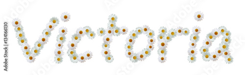 Daisy Name Victoria