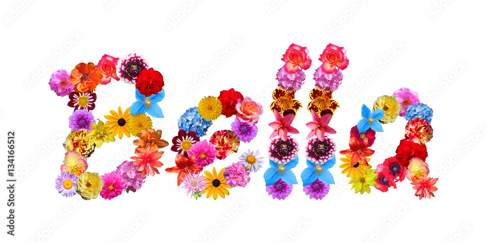 Flower Name Bella Flower Name Bella