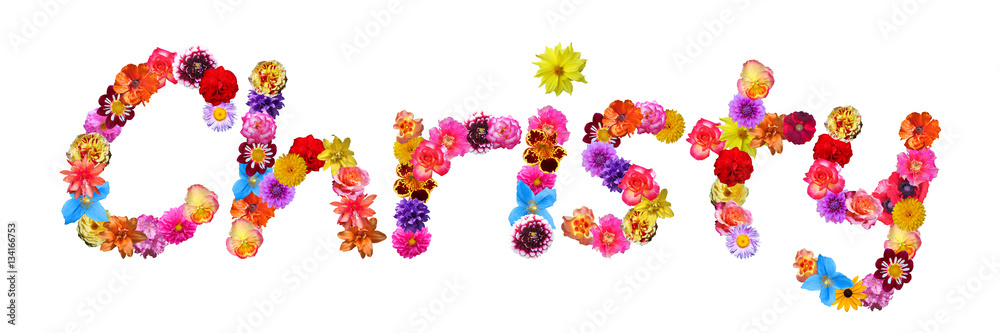 Flower Name Christy Flower Name Christy