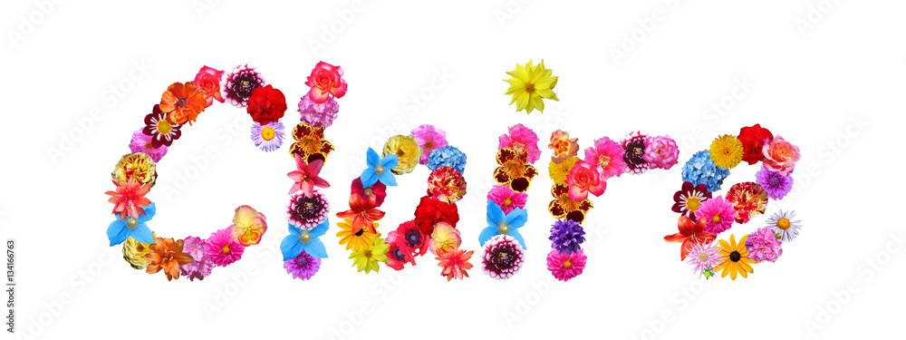 Flower Name Claire Flower Name Claire