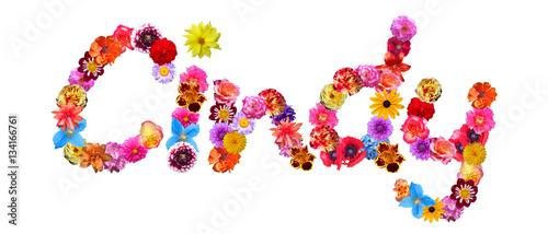 Flower Name Cindy photo