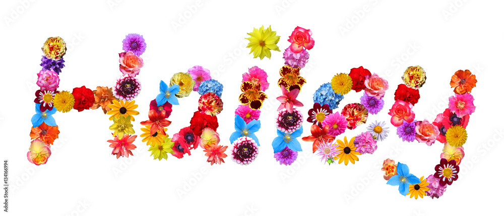 Flower Name Hailey