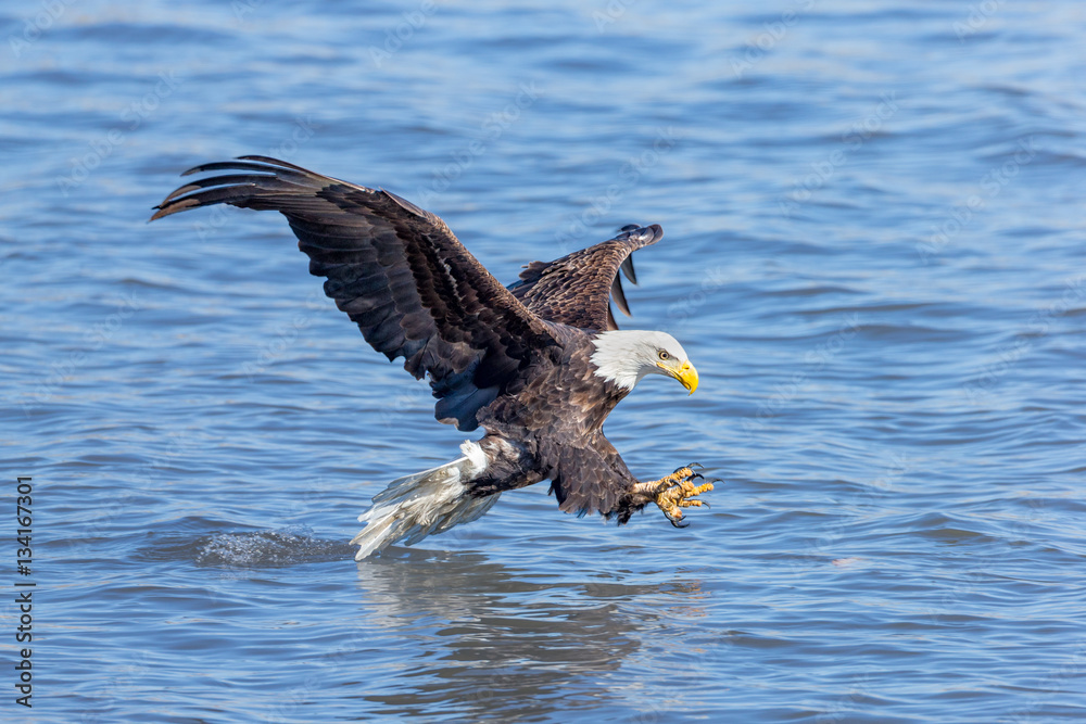 Naklejka premium Ready to Fish