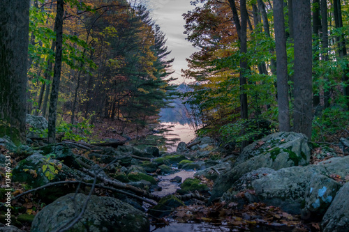 Creek from Lake in the Autumn Forest