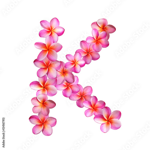 Plumeria Letter K