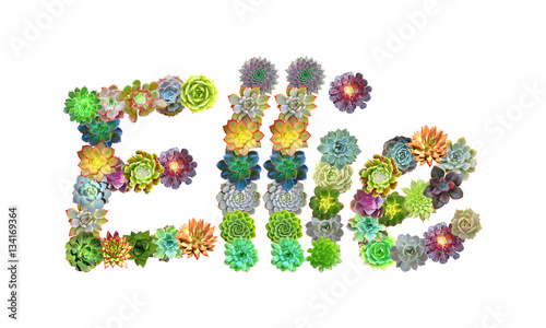 Εκτύπωση καμβά Ellie Succulent Name