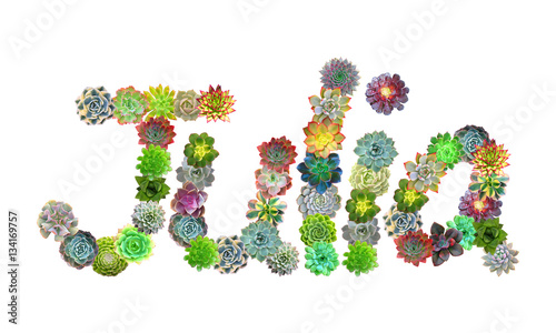 Julia Succulent Name