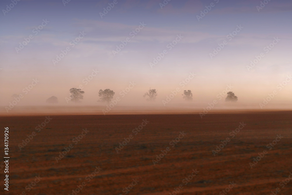 Dust storm in outback Australia on rural farm with crops in paddock in Mallee