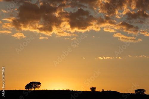 African sunrise with silhouetted trees and clouds  Kalahari desert  South Africa.