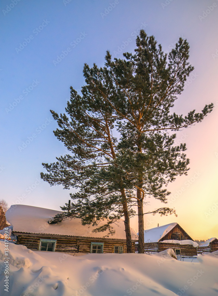 Vertical background with abandoned cabin covered by snow in froz