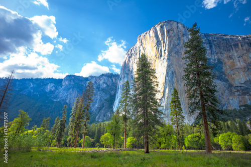 El Capitan Yosemite National Park, California, USA.  View from El Capitan Meadow.
