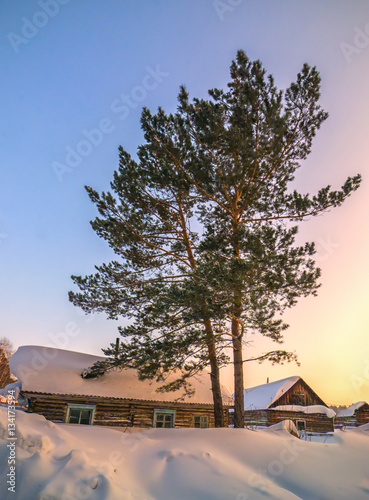 Obraz na płótnie Vertical background with abandoned cabin covered by snow in froz w salonie