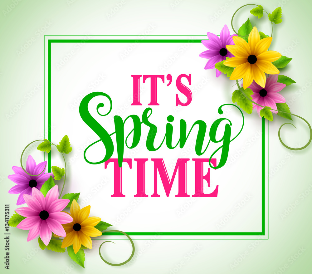 Spring time vector banner with boarder in colorful realistic flowers, leaves and vines in white background. Vector illustration.
