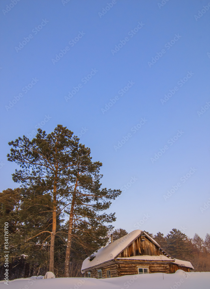 vertical blue background with abandoned cabin covered by snow un