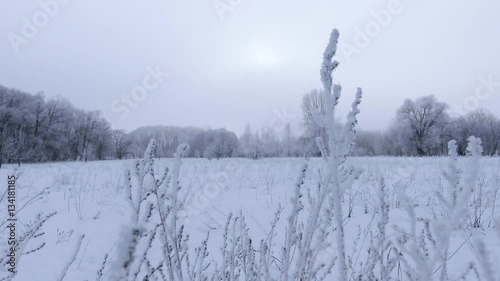 snowy winter landscape shot with a slider photo