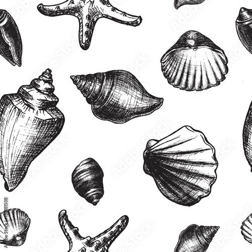 Hand drawn repeating seashell pattern, black and white sea travel seamless background, nautical design. Vector illustration.
