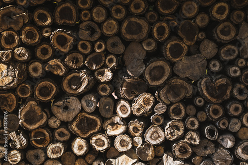   Save Download Preview The round logs many side with sunlight
