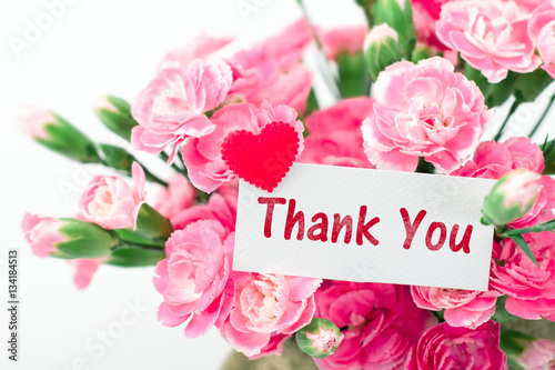 Thank you card and beautiful blooming of the pink carnation 