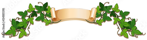Banner design wtih green ivy vine