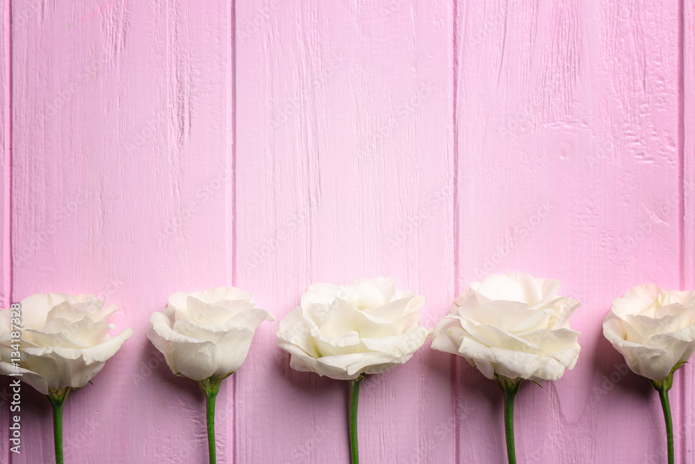 Fototapeta premium Eustoma on pink wooden background