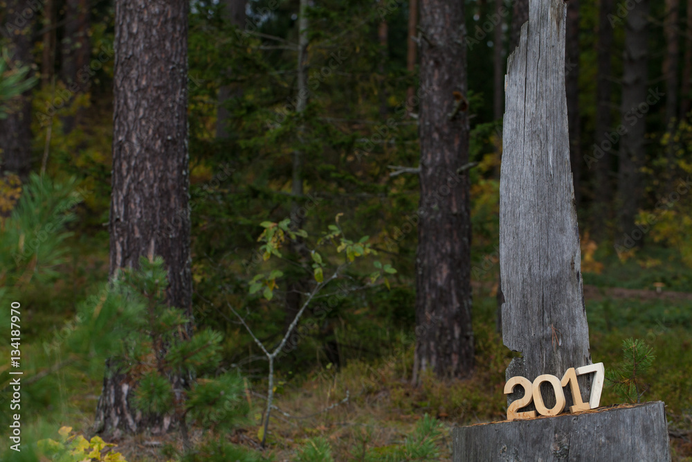 Figures 2017 in the forest. Christmas theme Figures 2017 in the forest. Christmas theme