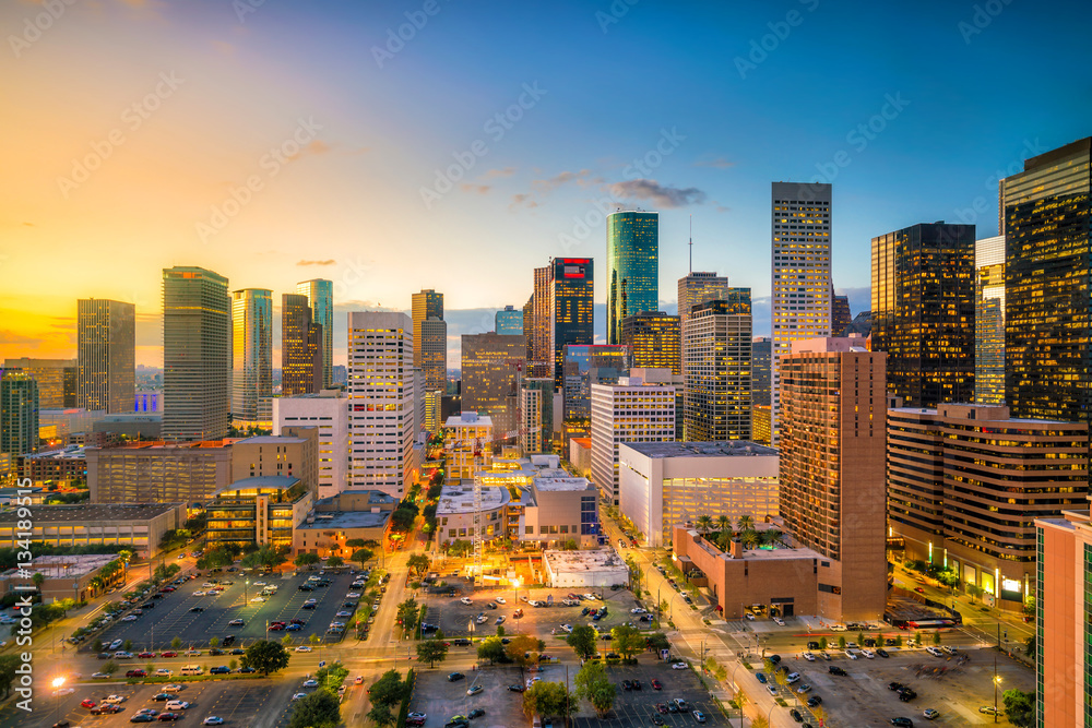 Fototapeta premium Downtown Houston skyline