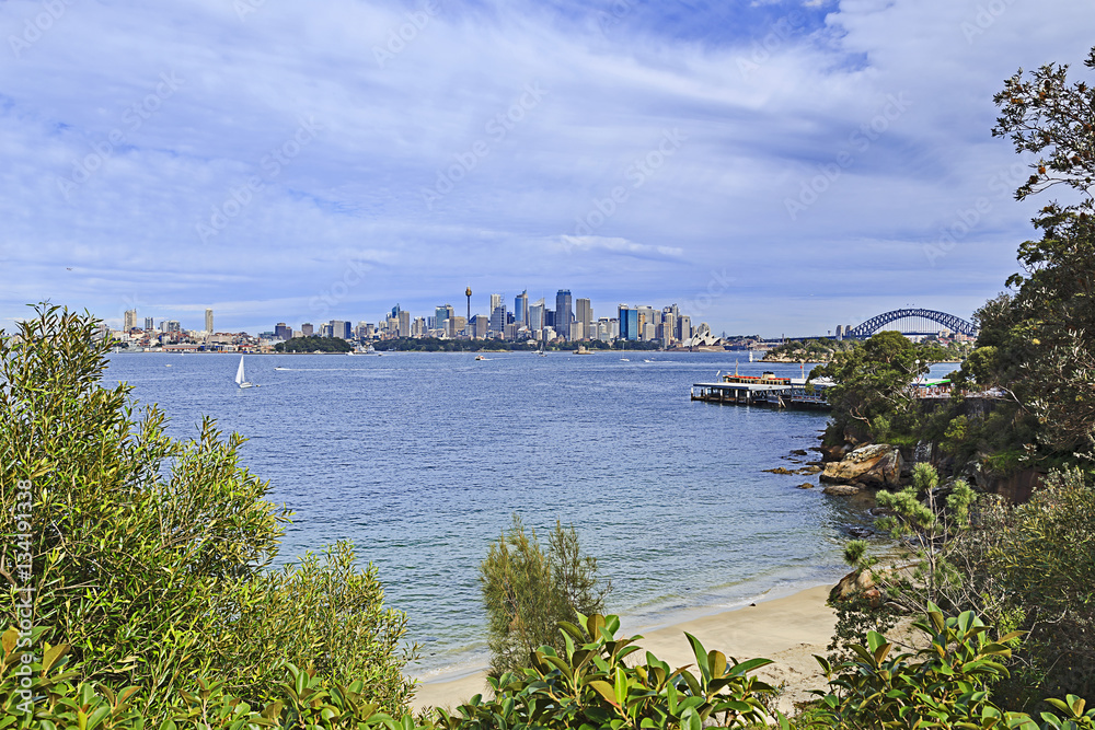 Fototapeta premium Sy CBD Bradley Bay Trees