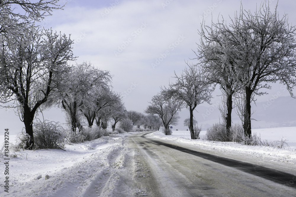 Beautiful snowy winter landscape with trees Beautiful snowy winter landscape with trees