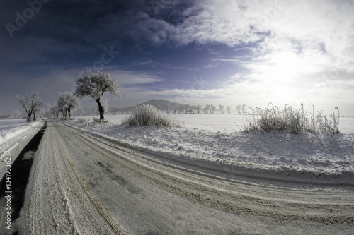 Beautiful snowy winter landscape with trees