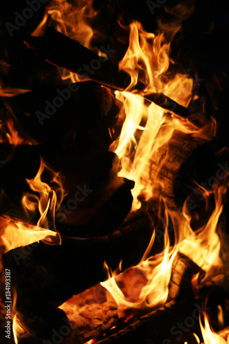 burning log fire vertical