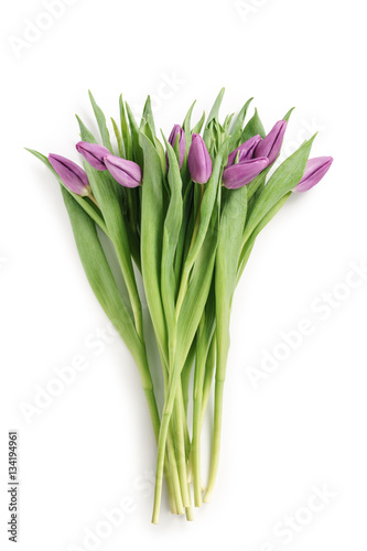 fresh purple tulips shot from above isolated on white background