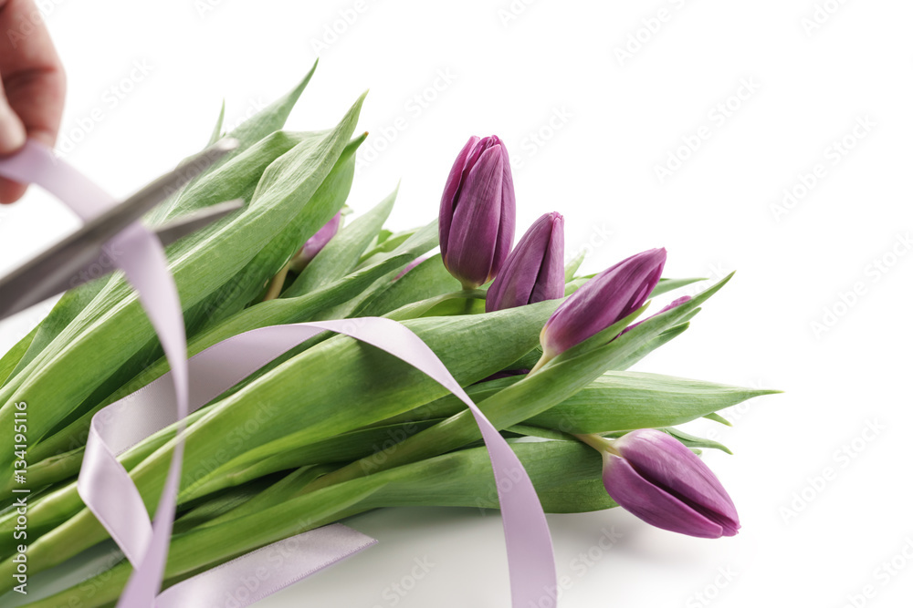 making bouquet from fresh purple tulips with ribbon on white background making bouquet from fresh purple tulips with ribbon on white background