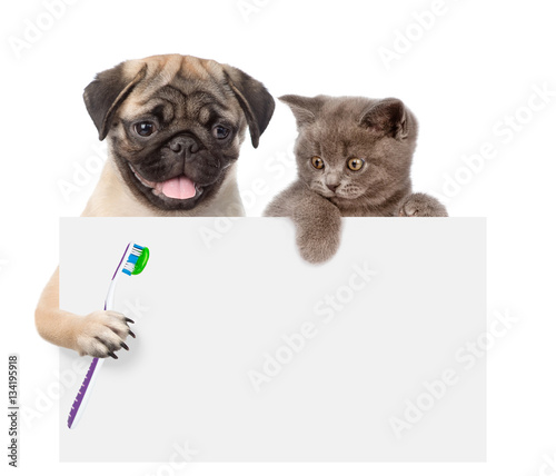 Cat and dog with a toothbrush peeking from behind empty board. isolated on white