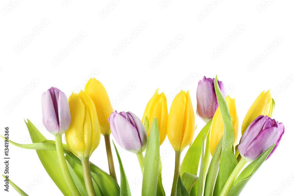 Bouquet of tulips isolated on a white