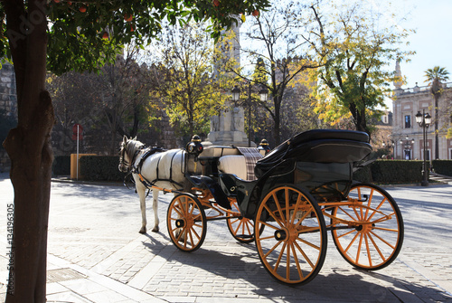 Touristic horse carriage in Seville, Spain.
