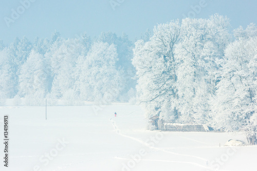 Einsamer Langläufer im Winterwunderland  © naturenow