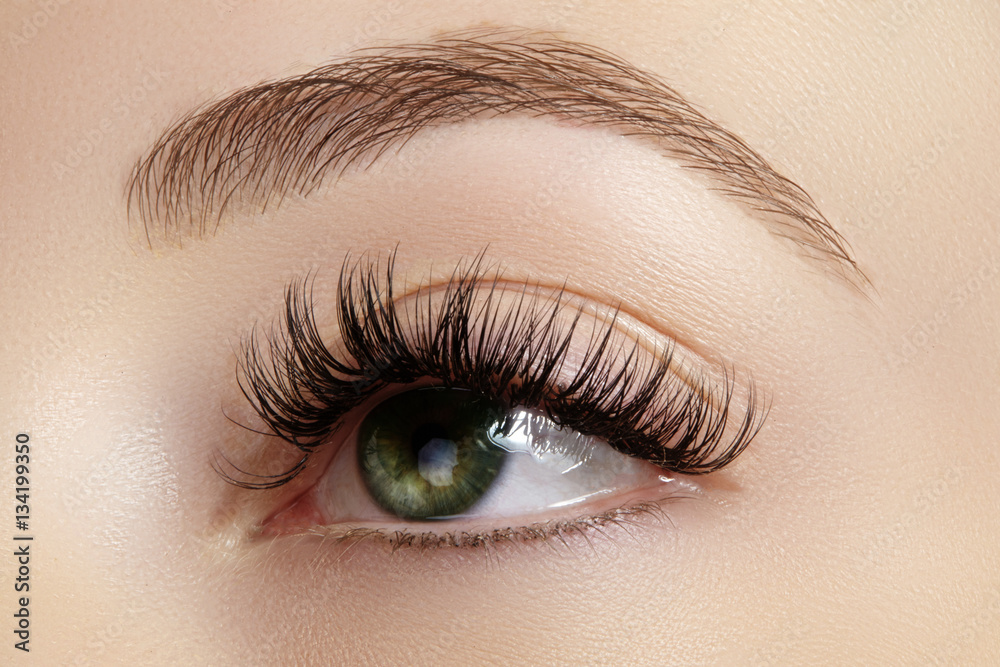 Naklejka premium Perfect shape of eyebrows, brown eyeshadows and long eyelashes. Closeup macro shot of fashion smoky eyes visage
