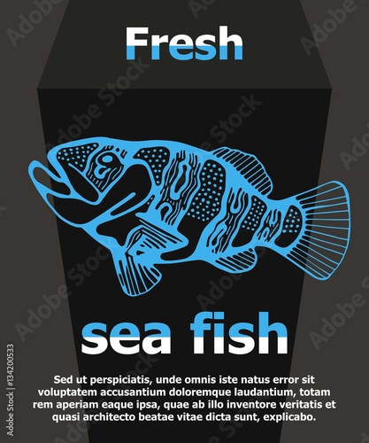 grouper fish vector illustration