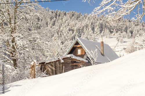 Wooden house in winter forest © Smailhodzic