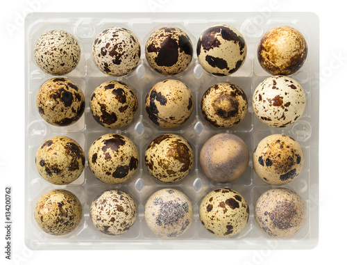 raw quail eggs closeup