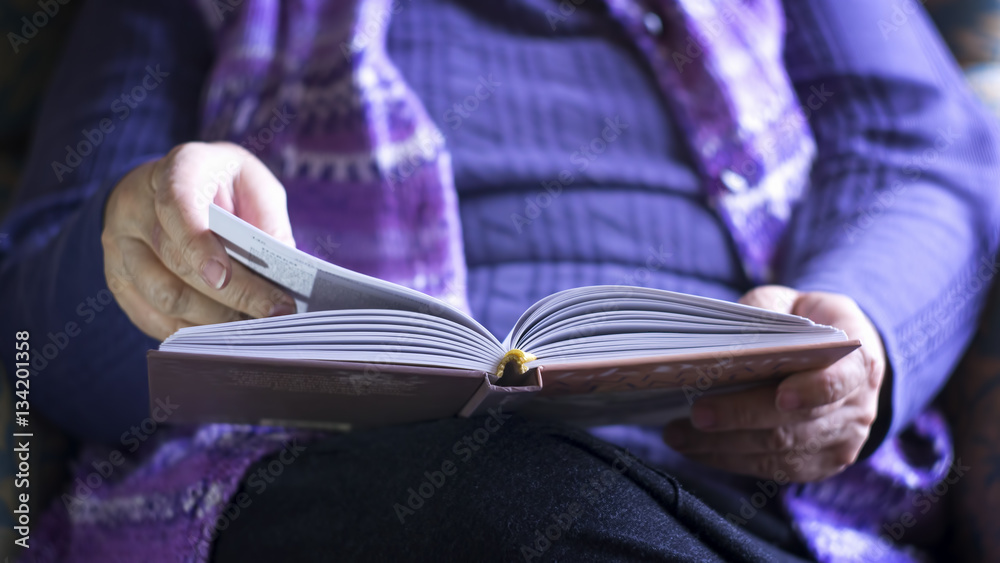 Naklejka premium Old Woman Reading A Book At Home 